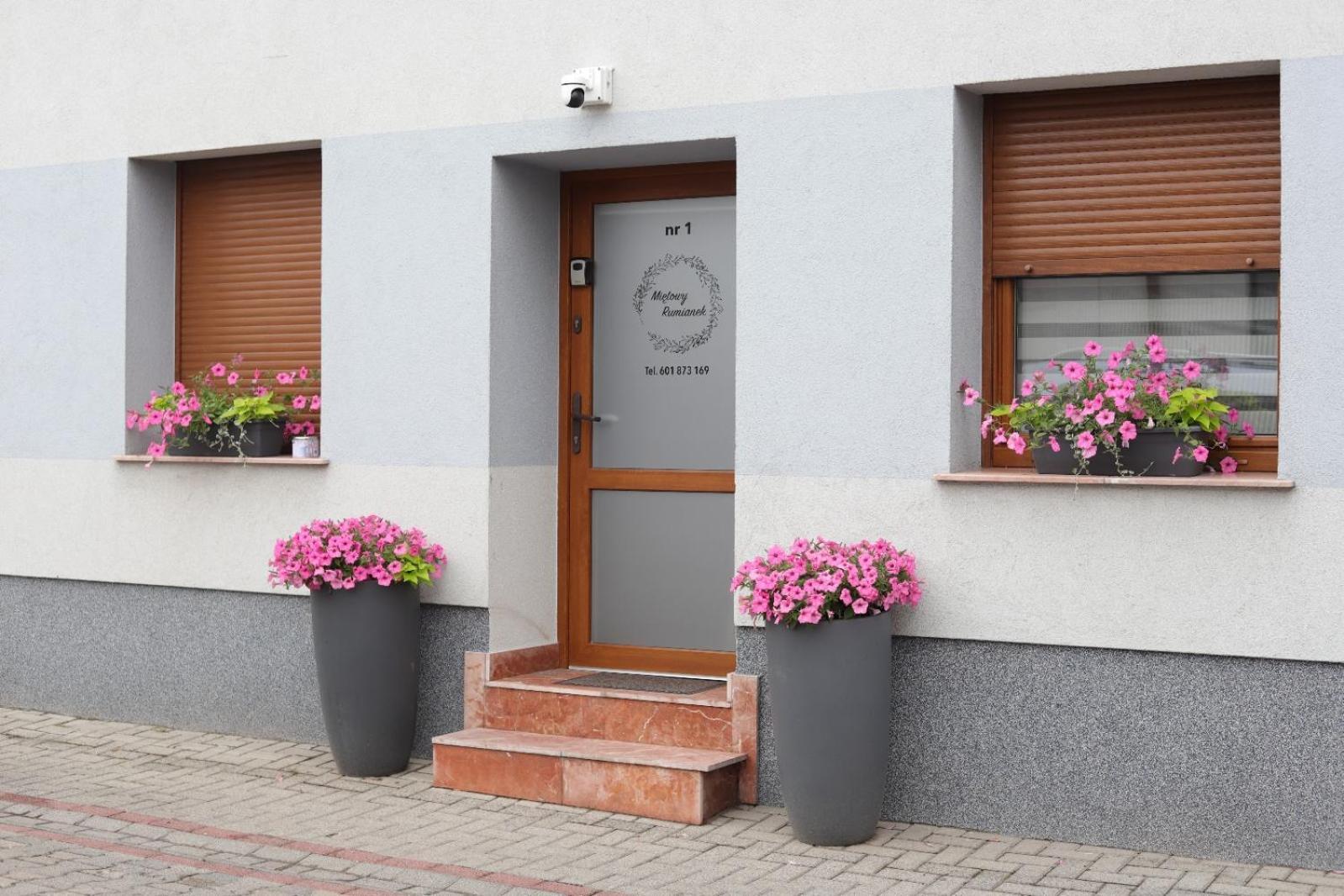 Apartament Mietowy Rumianek Lwowek Kültér fotó